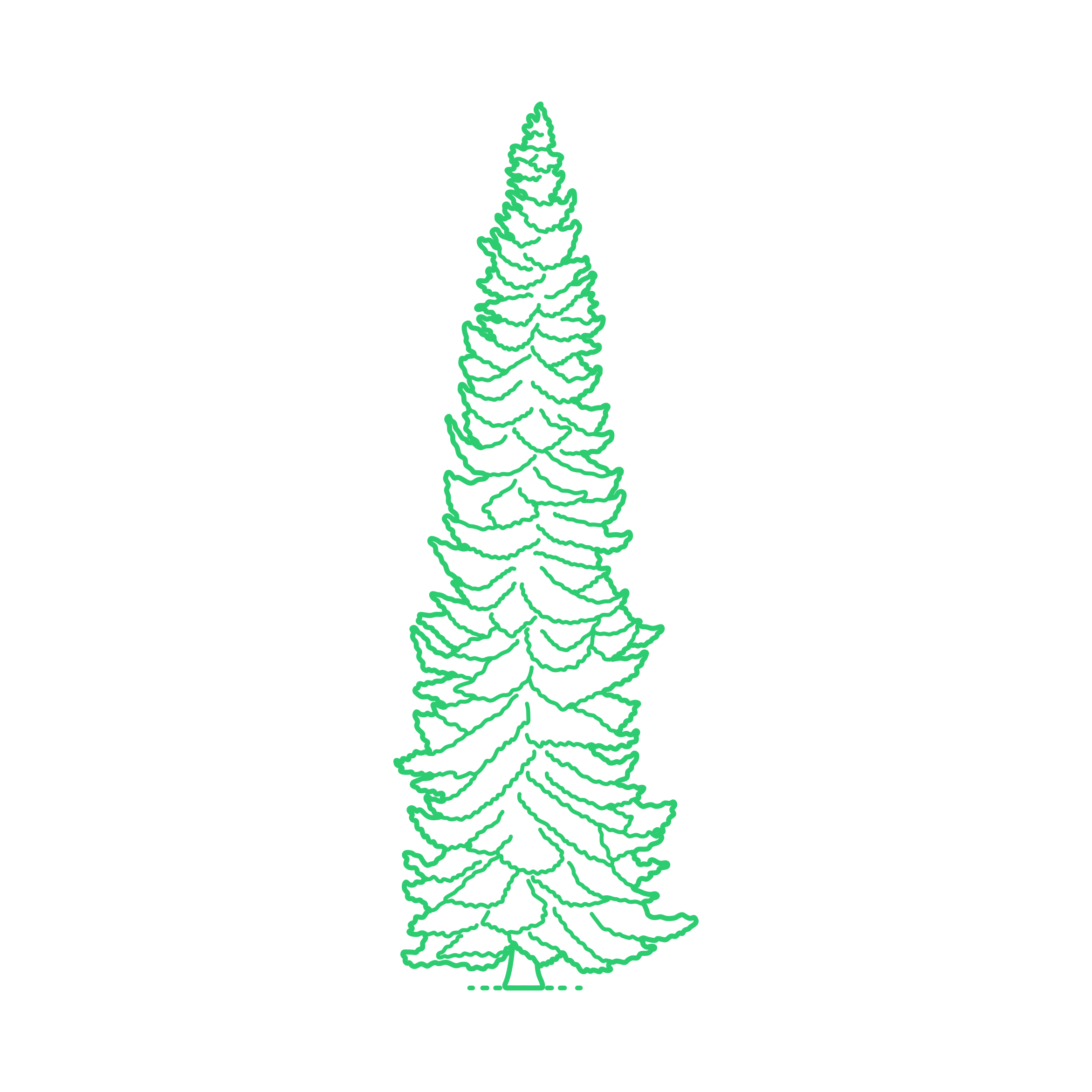 Plants Spruces Norway Spruce Craft Design Svg File Free Vectors